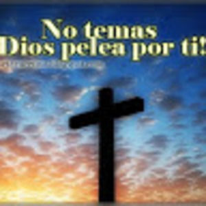 Meet your Posher, Marta